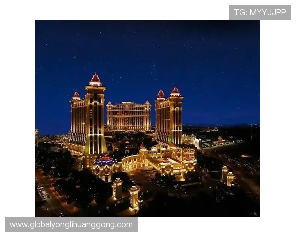 澳门十大娱乐场所法人代表的法律责任与企业管理经验分享