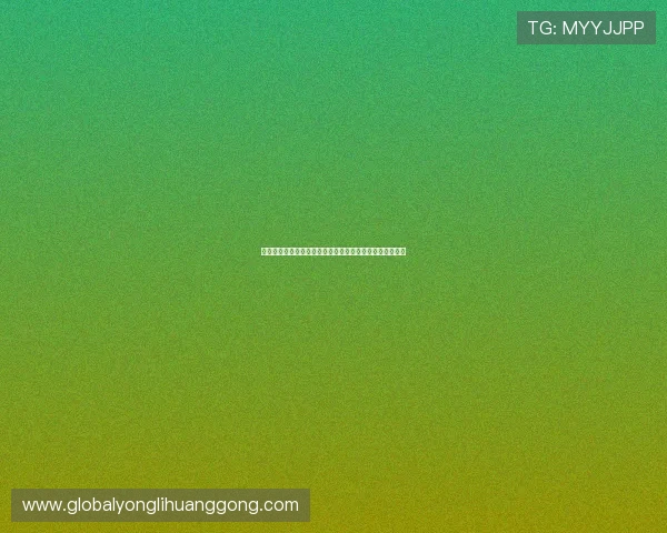 新濠博亚娱乐有限公司的投资机会与合作伙伴关系详细介绍